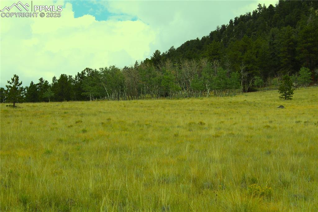 Image 11 of 13: View of woods featuring a view of rural / pastoral area