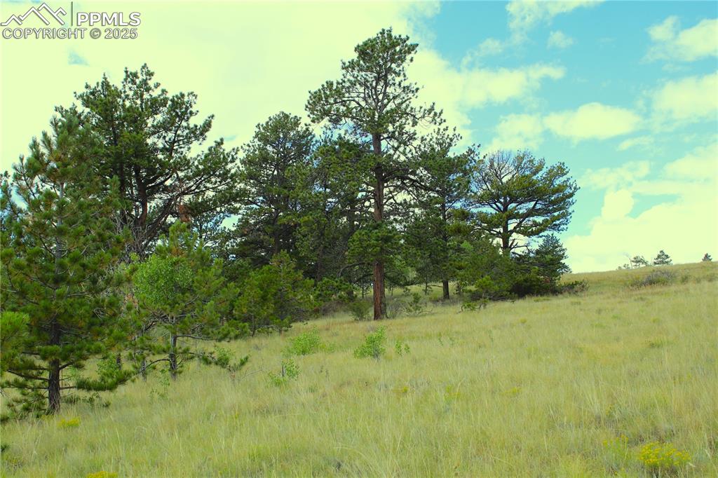 Image 12 of 13: View of undeveloped land with rural landscape