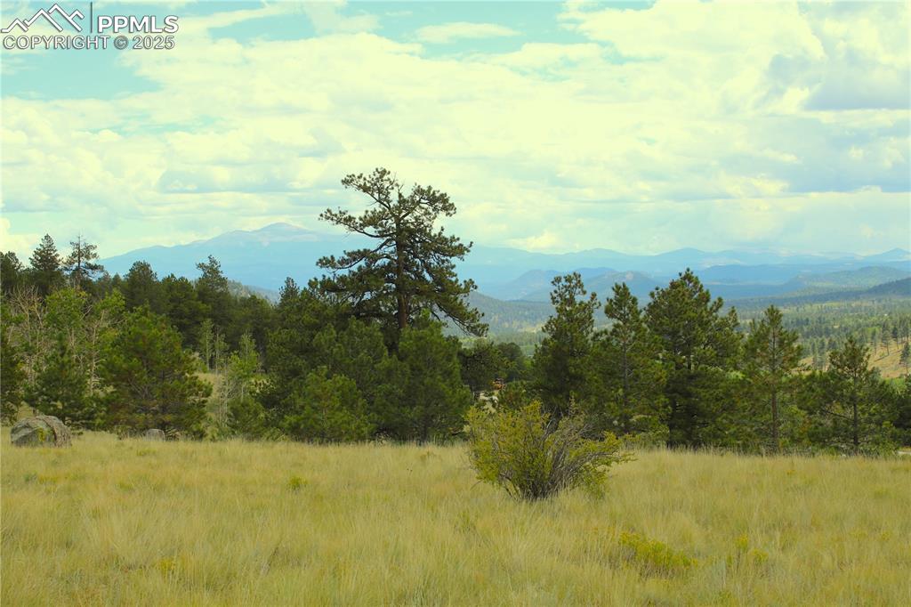 Image 13 of 13: View of mountain background with a heavily wooded area