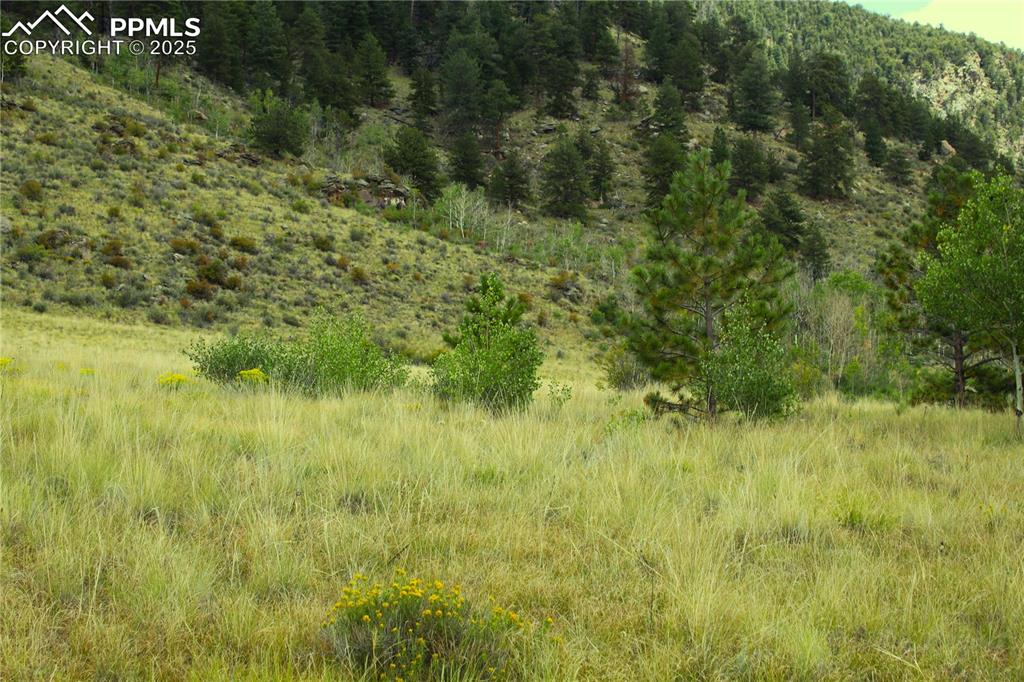 Image 2 of 13: View of nature