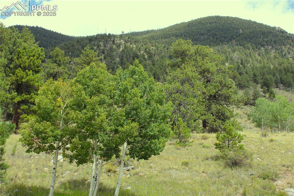 Image 3 of 13: Mountain view