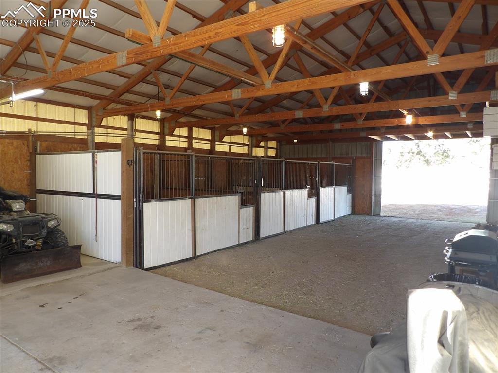 Image 9 of 32: Stable