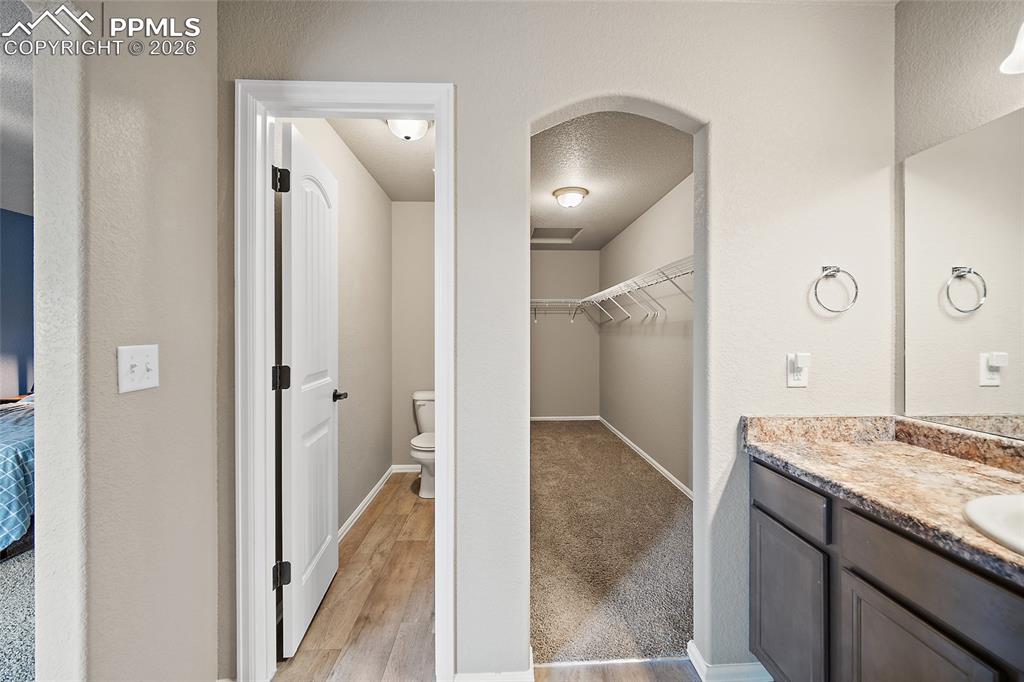 Image 22 of 42: No Description Available