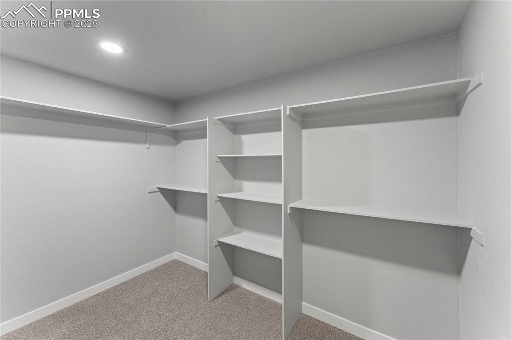 Image 29 of 36: Spacious closet featuring carpet flooring