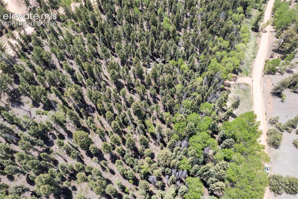 Image 9 of 17: Aerial View