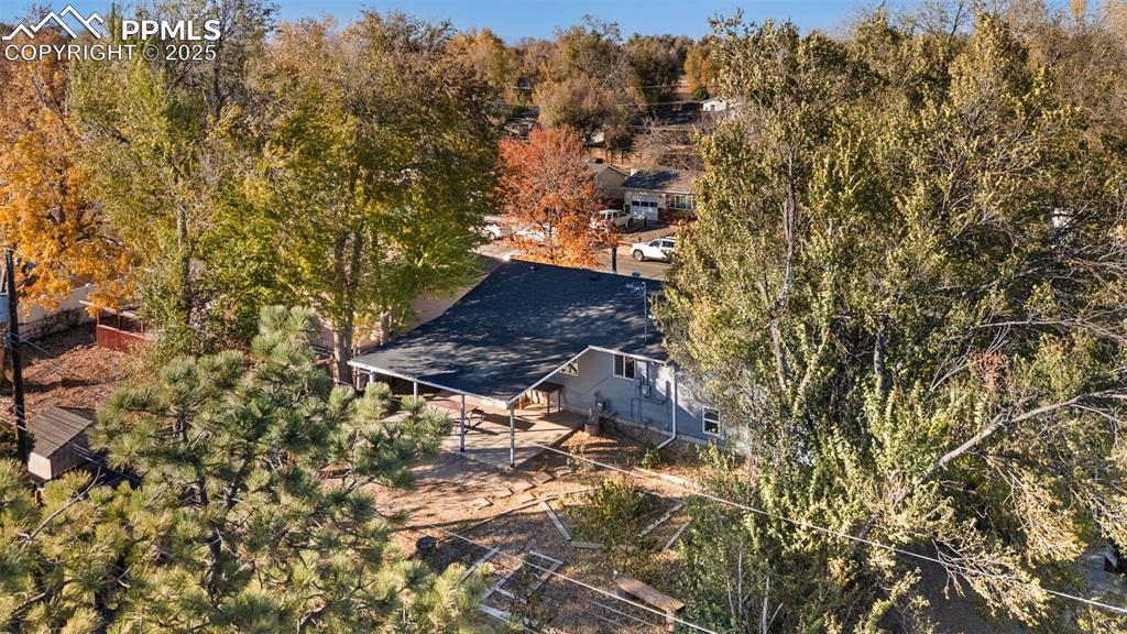 Image 23 of 25: six different types of fruit trees