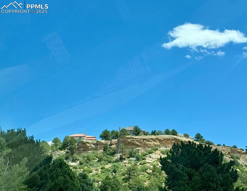 Image 19 of 21: View of local wilderness