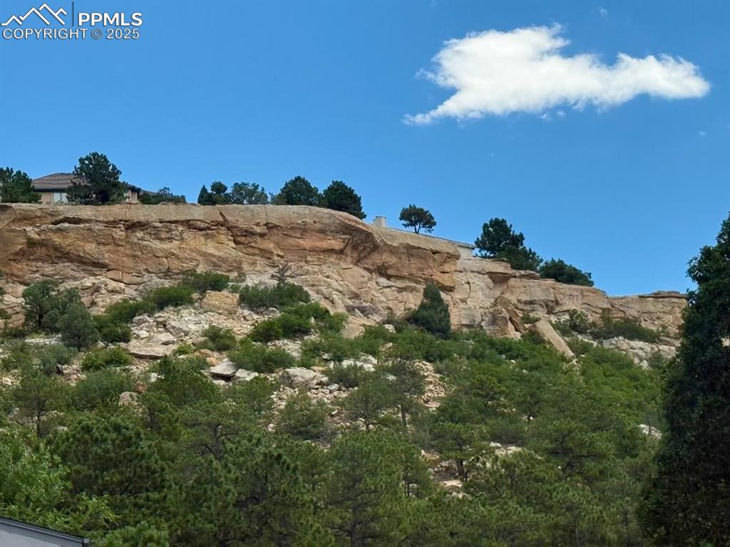 Image 20 of 21: View of local wilderness