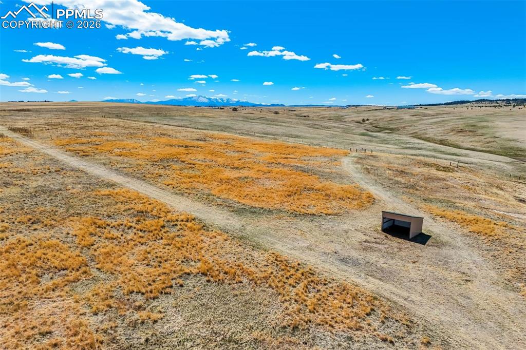 Image 42 of 50: Yard