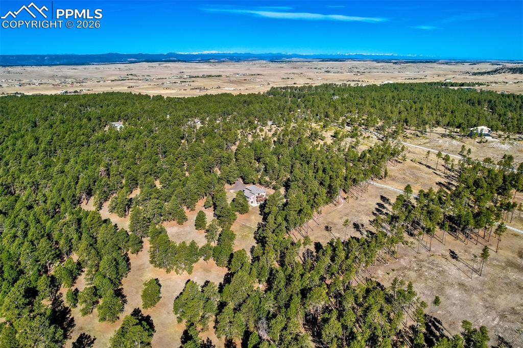 Image 46 of 48: Located in beautiful forest