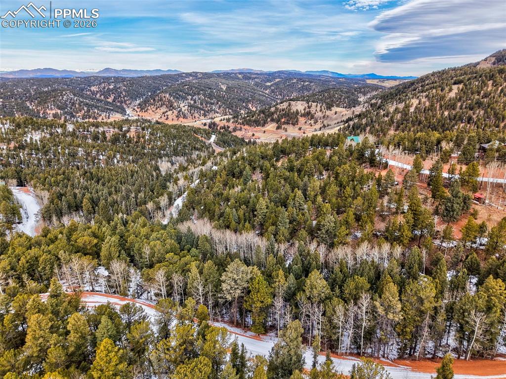 Image 4 of 10: Aerial View