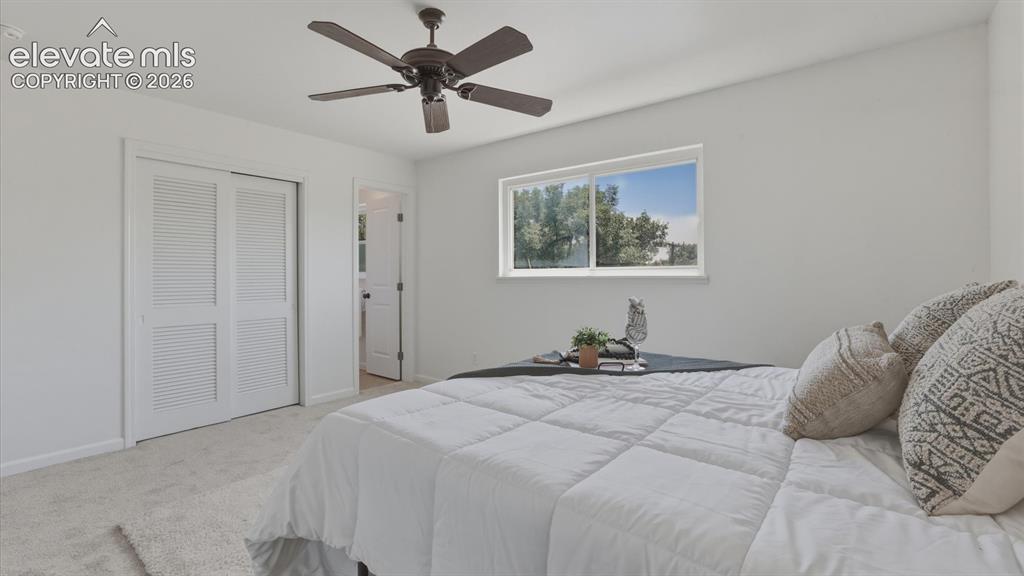 Image 11 of 48: Primary Bedroom with private access to the Full Bathroom.