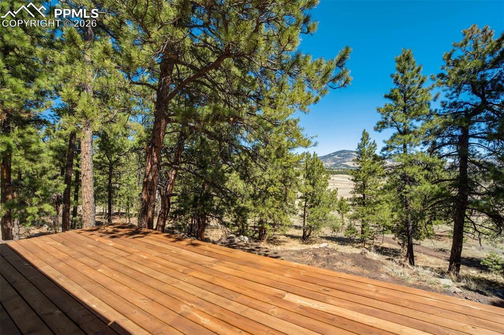 Image 38 of 50: No Description Available