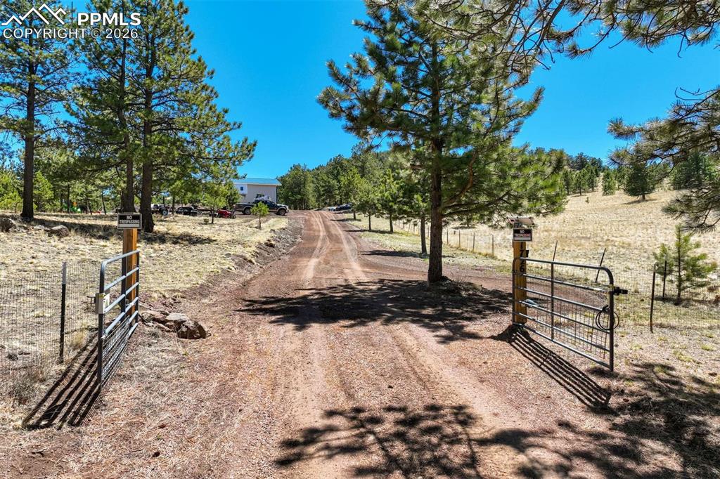 Image 48 of 50: No Description Available