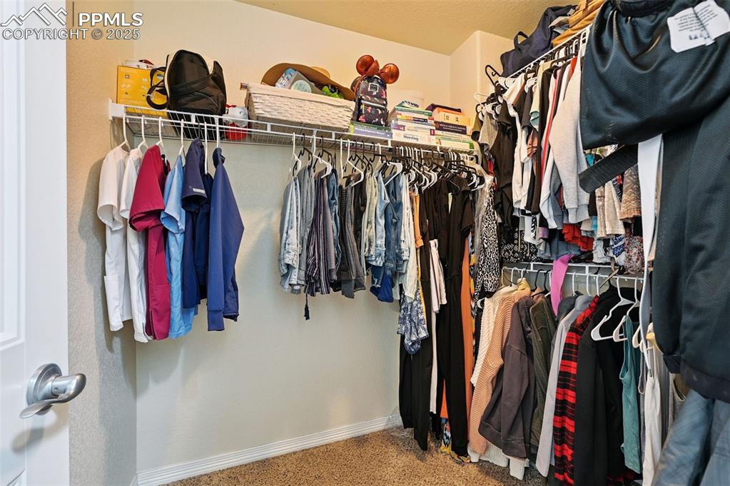 Image 17 of 39: Walk in closet featuring carpet