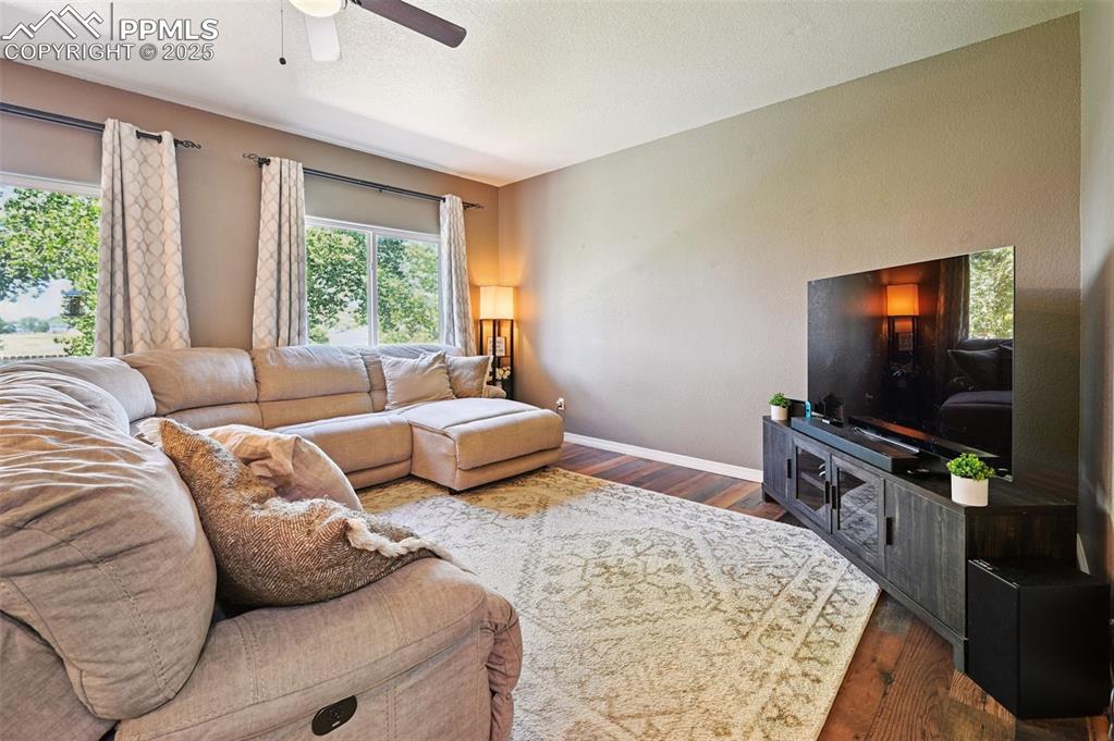 Image 24 of 39: Living room with dark wood-type flooring, a ceiling fan, and a textured cei