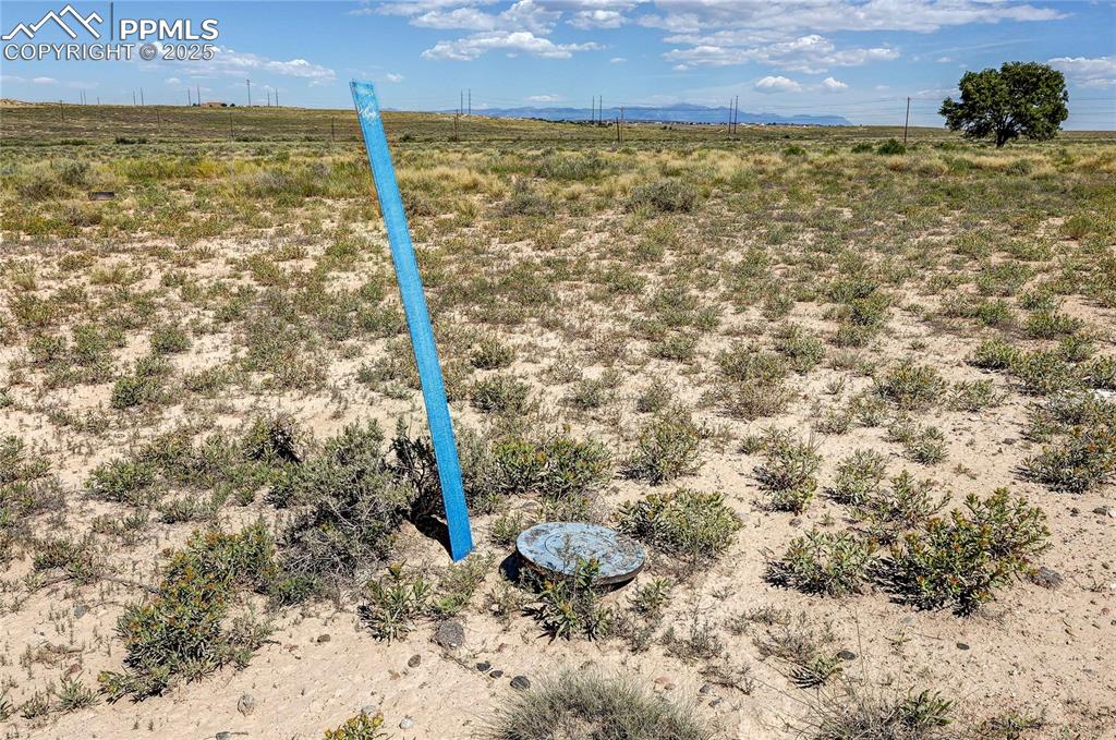 Image 15 of 18: Water is available