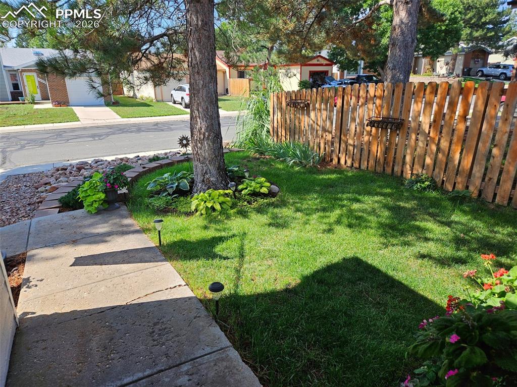 Image 27 of 31: Front yard in July