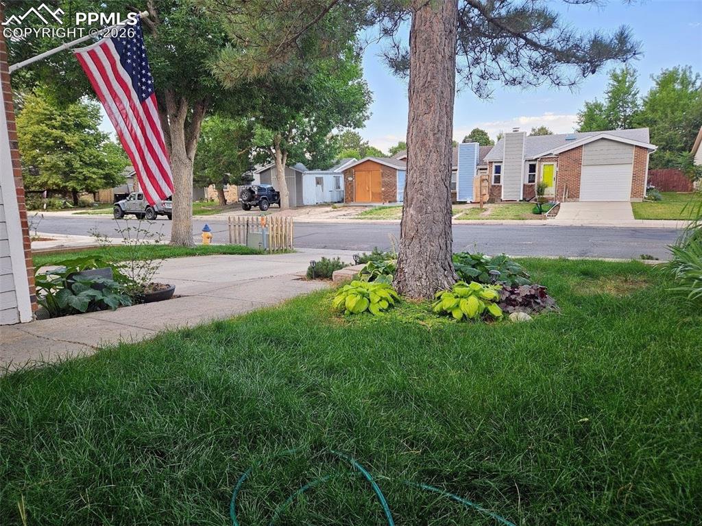 Image 28 of 31: Front yard in July