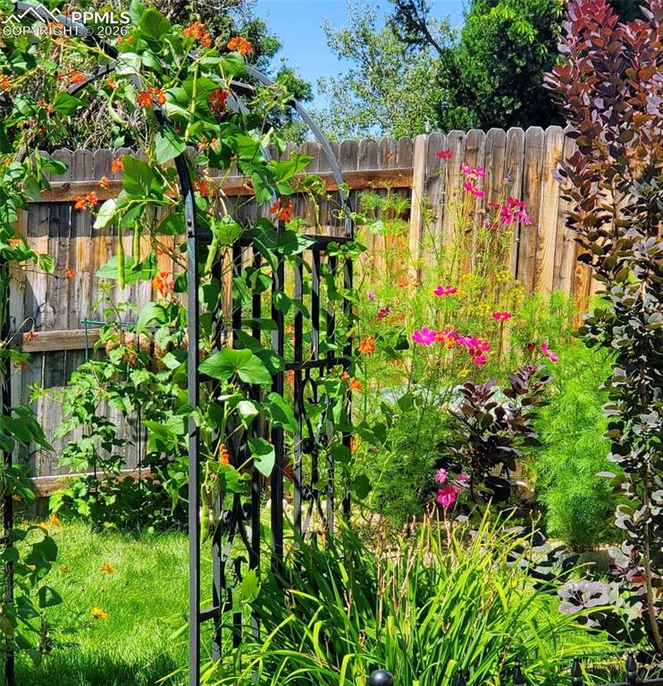 Image 31 of 31: Back yard in the summer