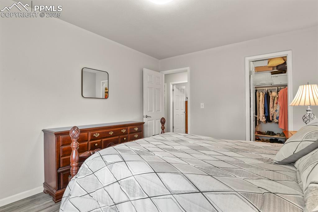 Image 16 of 31: Second bedroom featuring a walk in closet 