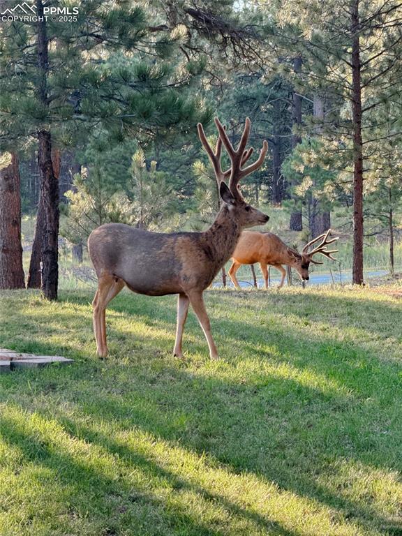 Image 26 of 49: Community