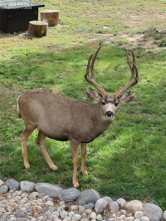 Image 27 of 49: Community