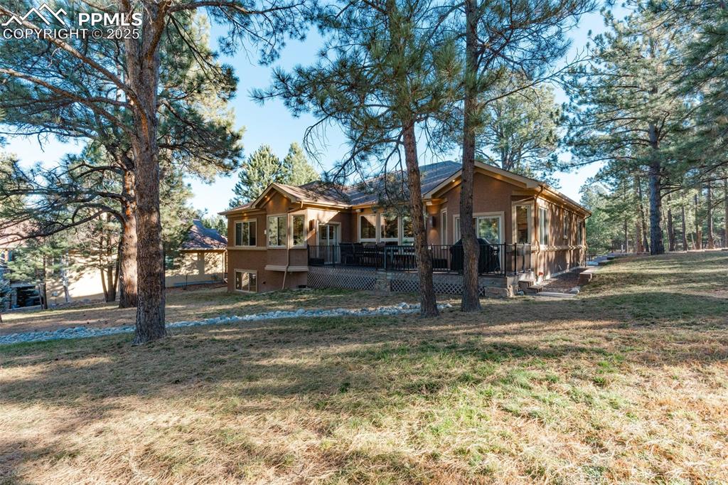 Image 28 of 49: Back of Structure