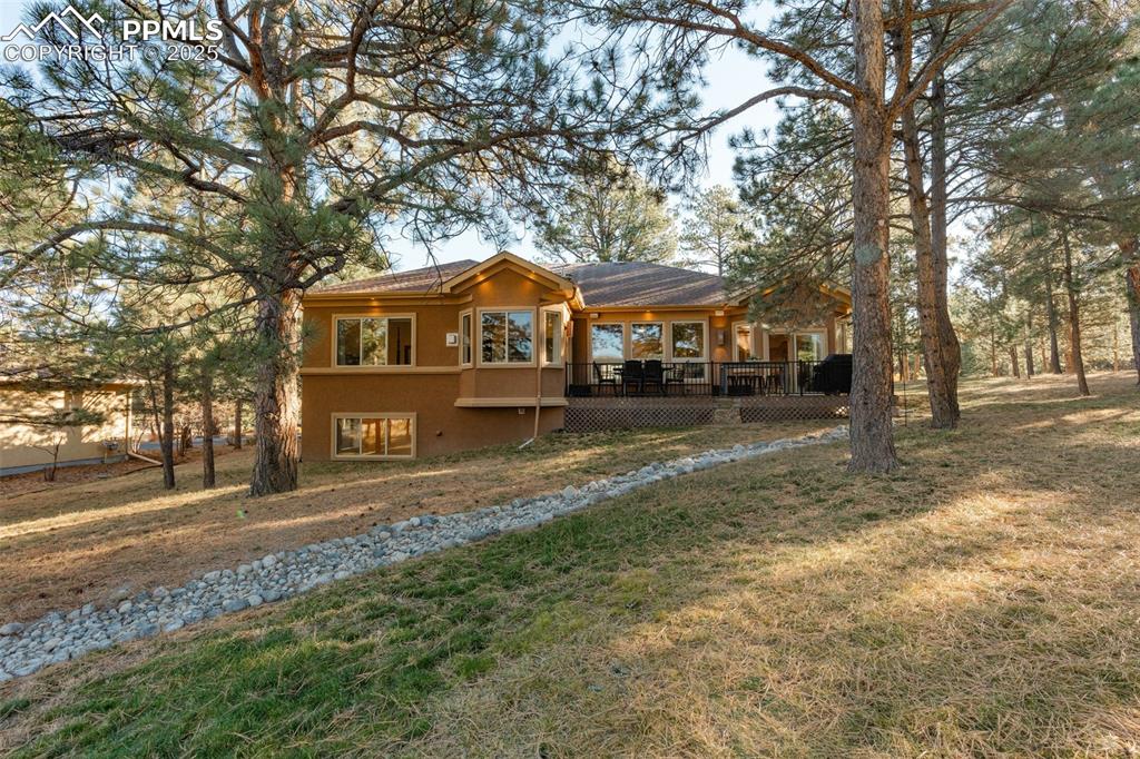 Image 29 of 49: Back of Structure