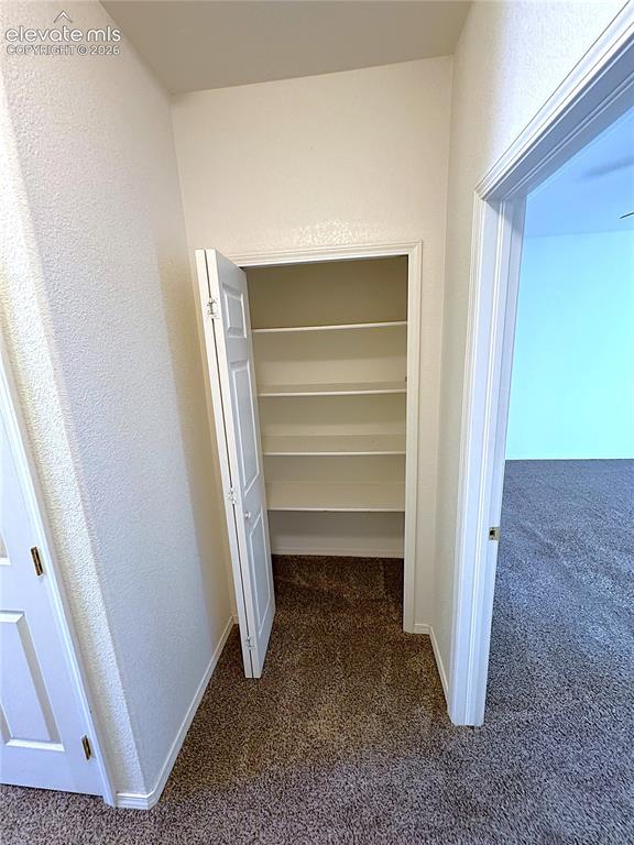 Image 22 of 49: Linen closet