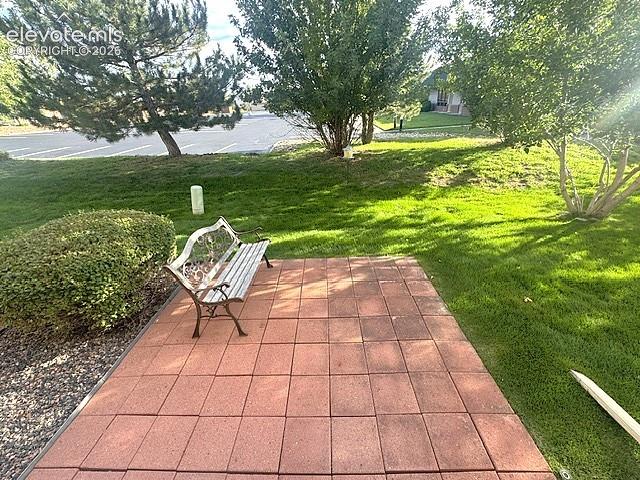 Image 35 of 49: Cozy Patio with Views and Walking Distance to Park and Dog Park