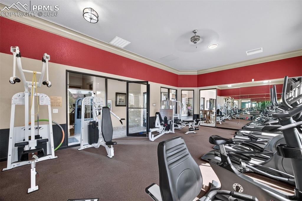 Image 35 of 37: Back of Structure