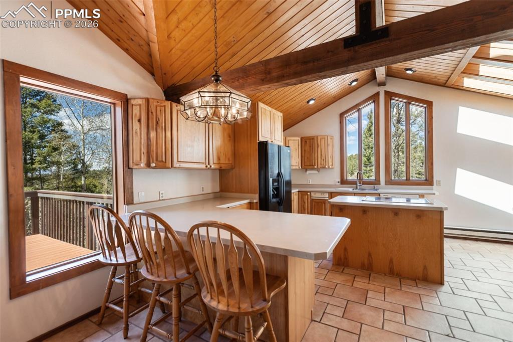 Image 8 of 43: Ariel