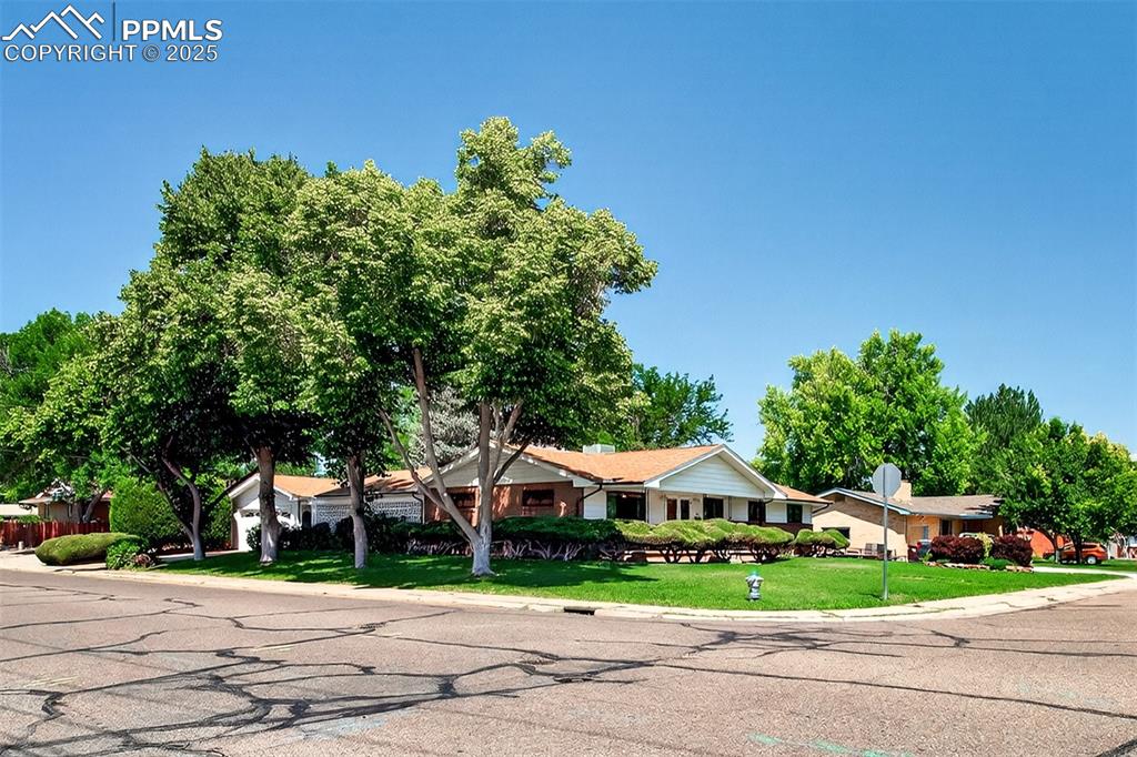 Image 43 of 43: Single story home with a front lawn