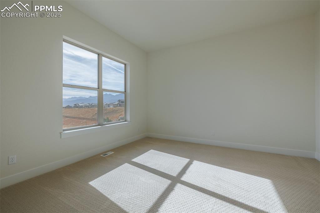 Image 20 of 43: Other