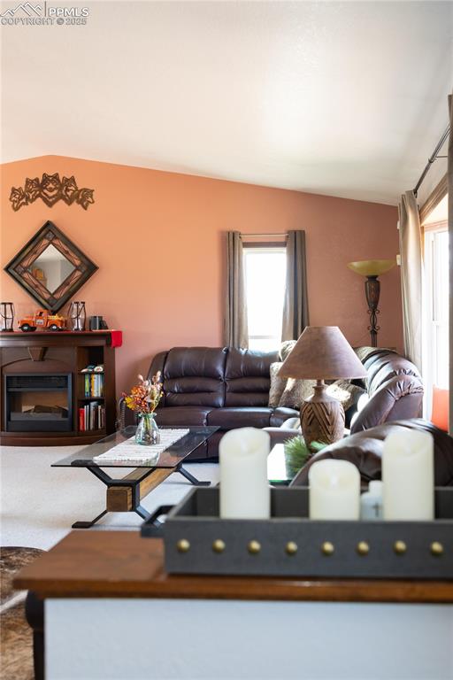 Image 12 of 49: View of carpeted living room
