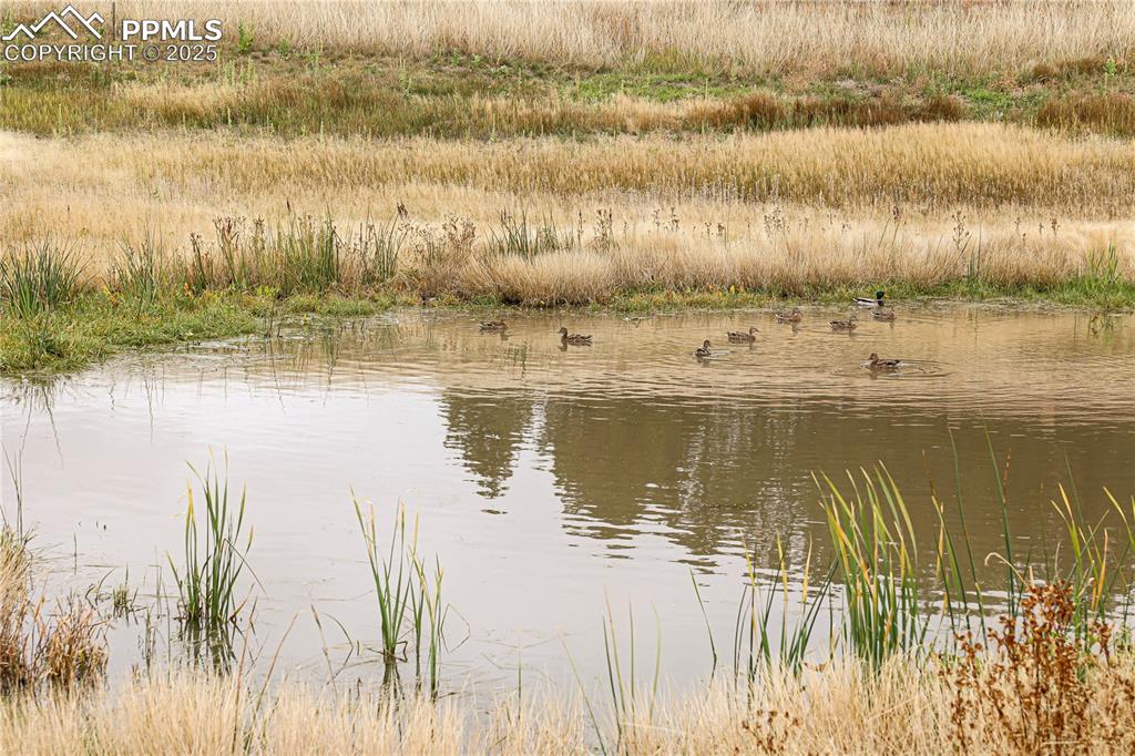 Image 5 of 49: Water view