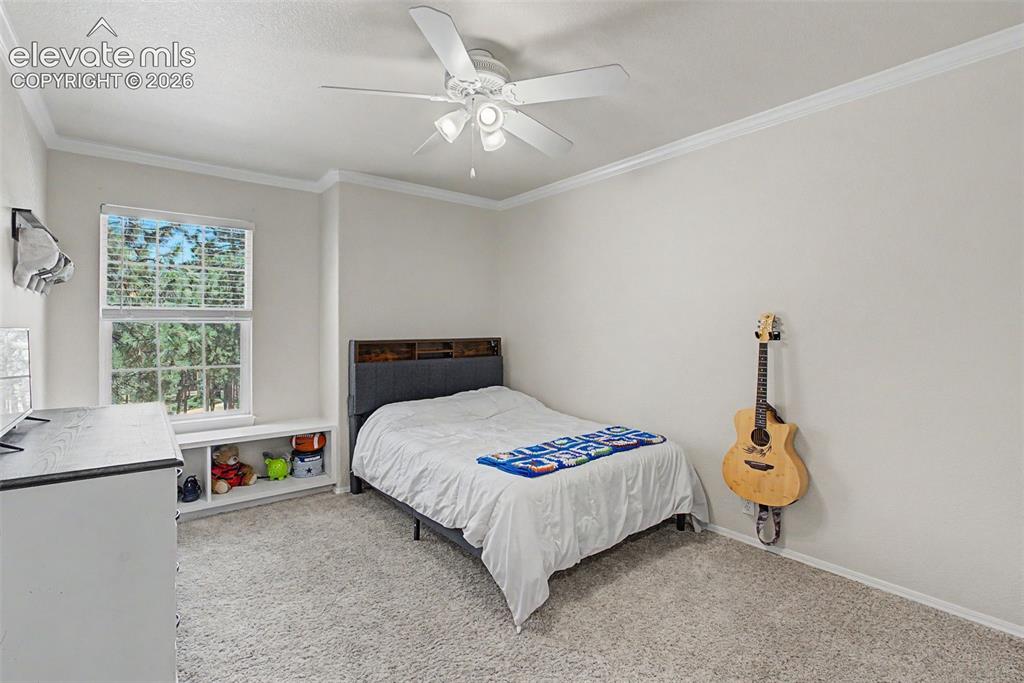 Image 40 of 49: No Description Available