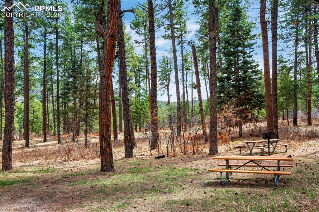 Image 45 of 48: Aerial View