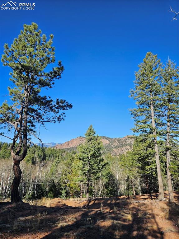 Image 10 of 32: View