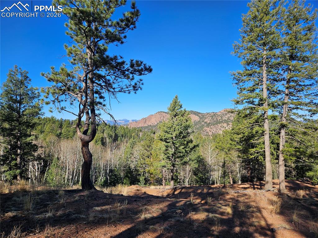 Image 11 of 32: View