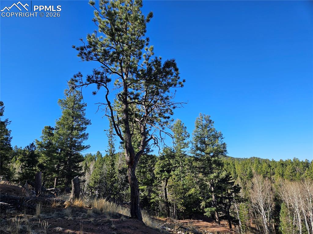 Image 12 of 32: Other