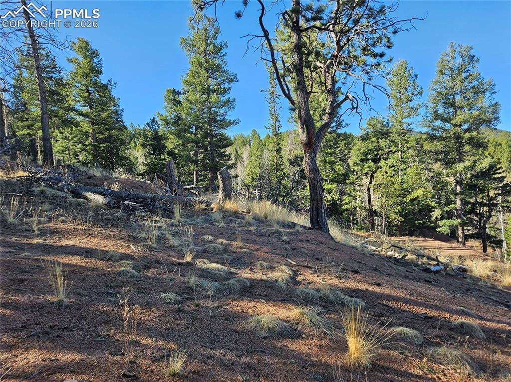 Image 13 of 32: Other