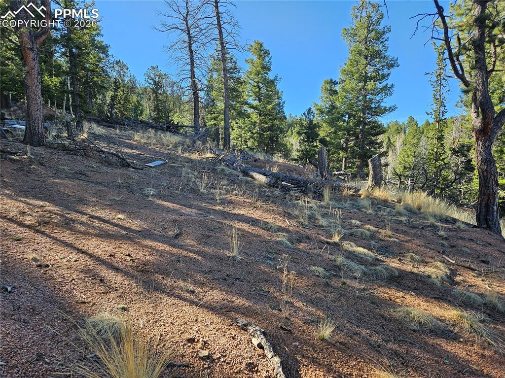 Image 14 of 32: Other