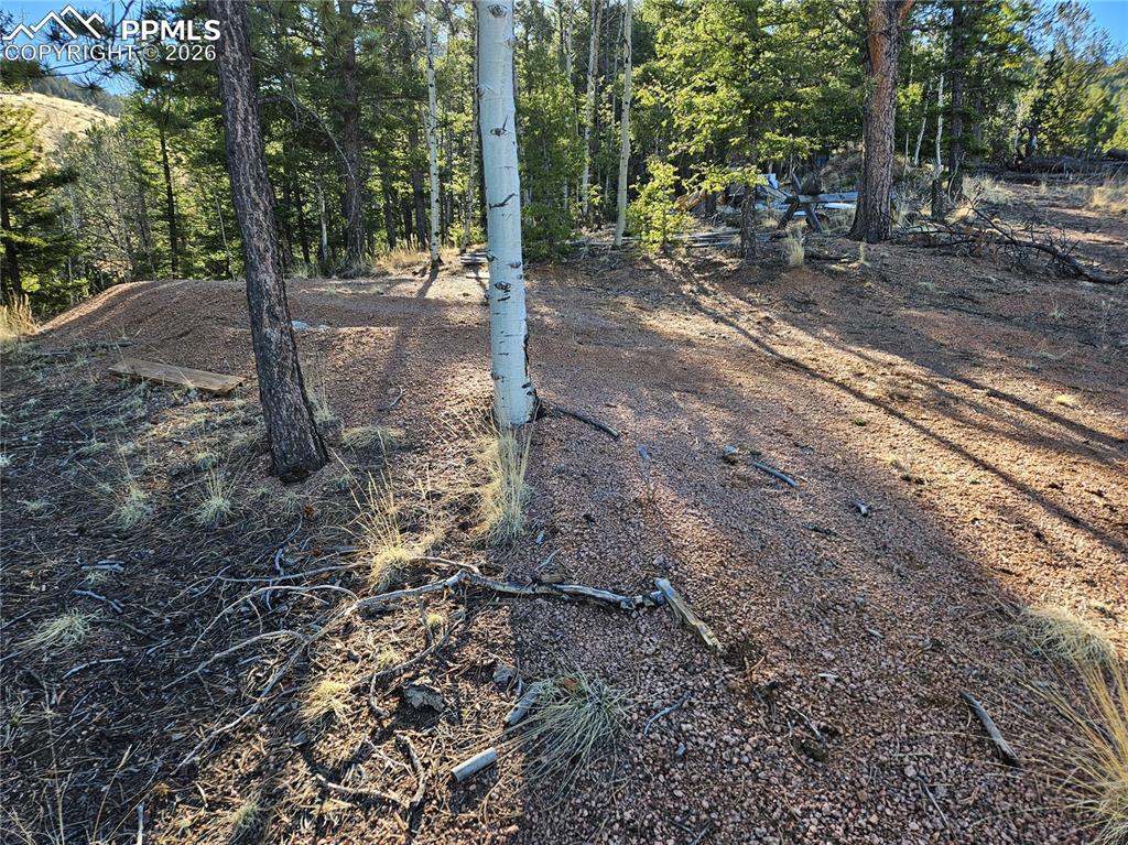 Image 15 of 32: Yard