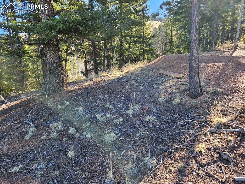 Image 16 of 32: Other