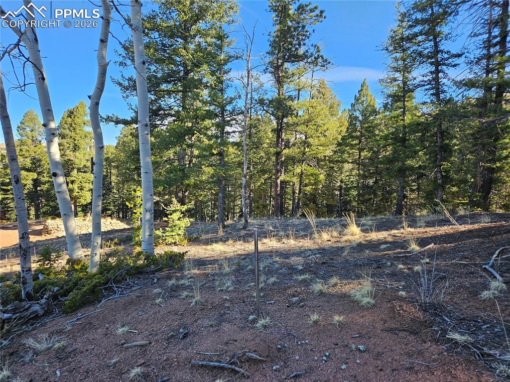 Image 17 of 32: Other