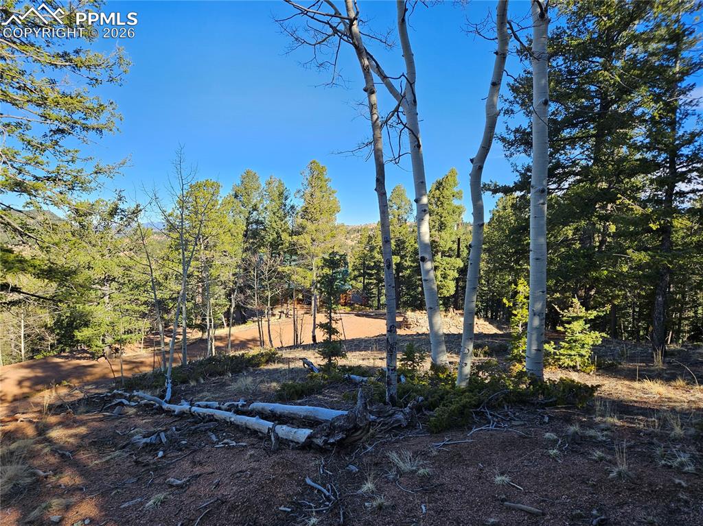 Image 18 of 32: Yard