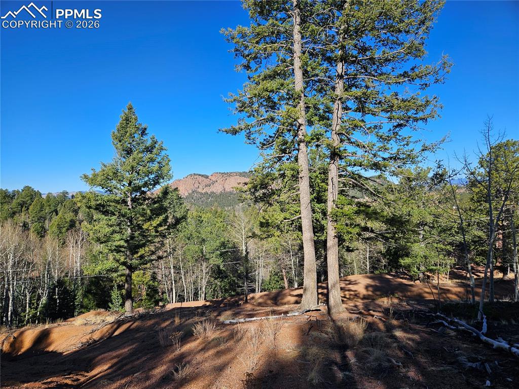 Image 19 of 32: View