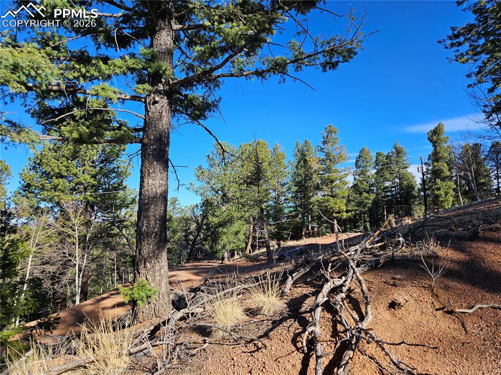 Image 2 of 32: Other